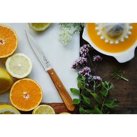 Opinel Coffret Les Essentiels Olivier - Image 2